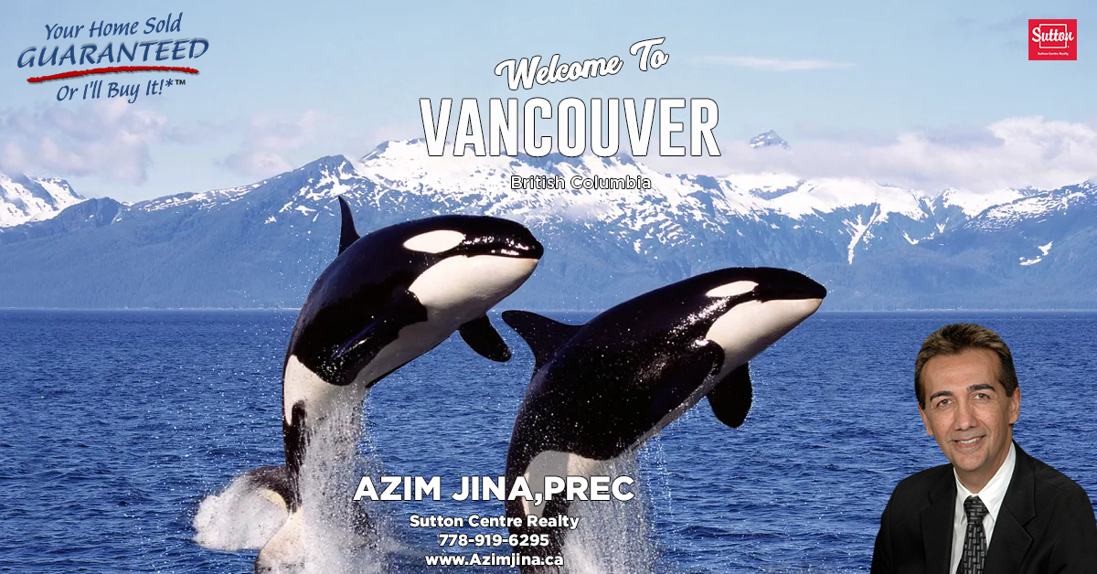 Whales, Bears, and Wildlife: Vancouver's Thriving Wildlife Encounters